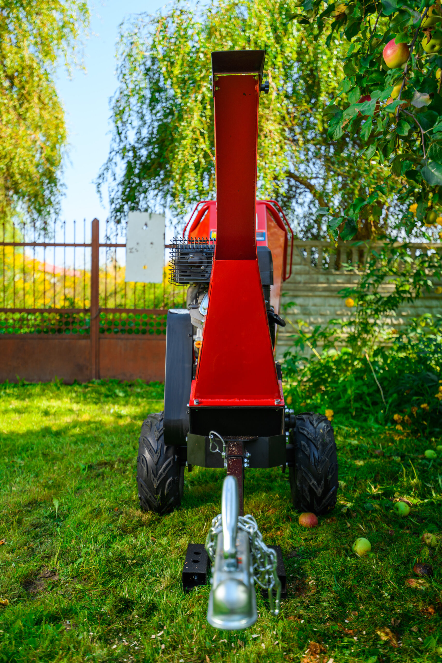 bensiinimootoriga oksapurustaja CEDRB03 3