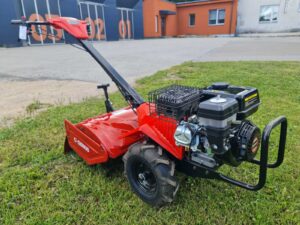 Cedrus mullafrees CEDRUSGLX-GT65-2L (RENT)