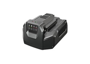 EGO STANDARDLAADIJA 210W CH2100E