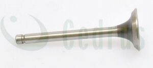Exhaust valve Robin EX17 ORIGINAL PART