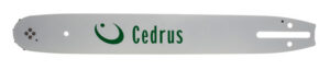 370 Cedrus