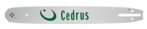 370 Cedrus